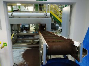 Detalle biomasa lavada - CENER BIO2C