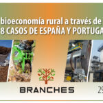 Webinar: 8 prácticas innovadoras en España y Portugal para favorecer la bioeconomía rural